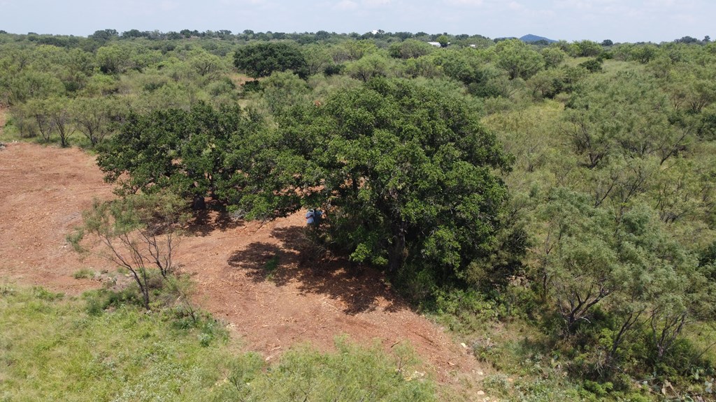103 South State Highway Llano, TX 78643 - Photo 19 of 24