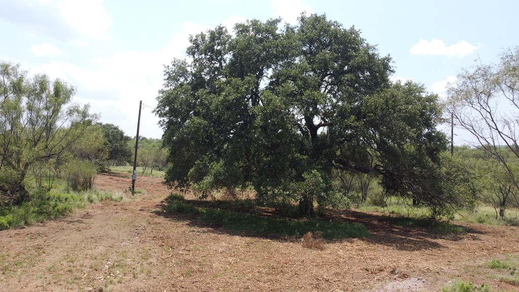 103 South State Highway Llano, TX 78643 - Photo 20 of 24