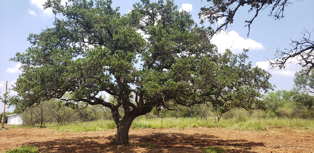 103 South State Highway Llano, TX 78643 - Photo 24 of 24