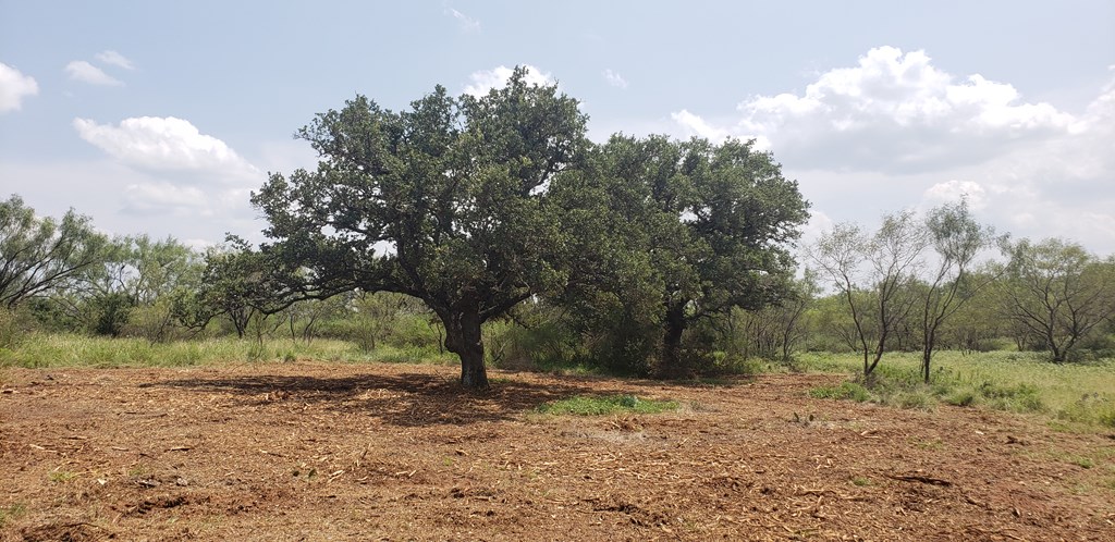 103 South State Highway Llano, TX 78643 - Photo 8 of 24