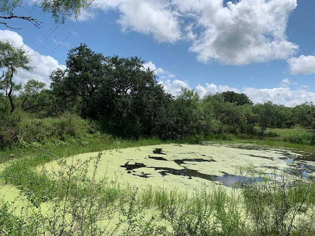 103 South State Highway Llano, TX 78643 - Photo 10 of 24