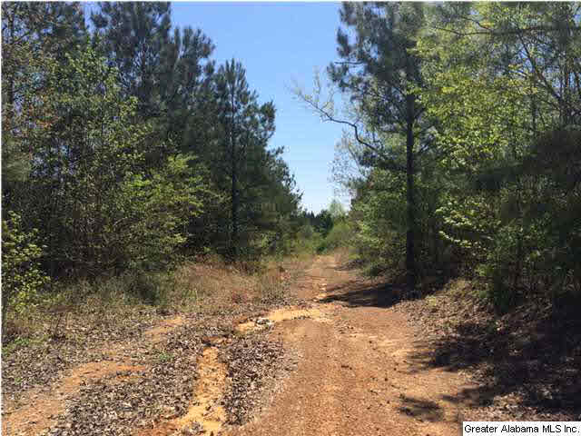 3970 Tanner Road, Unit 10 ACRES Dora, AL 35062 - Photo 4 of 7