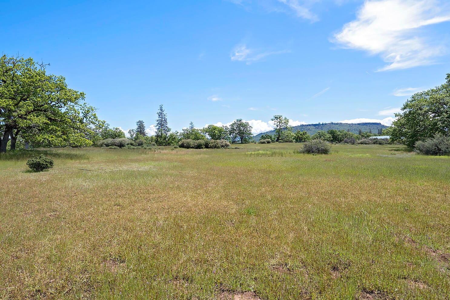 13084 Perry Road White City, OR 97503 - Photo 20 of 22 Perry Rd_024 copy