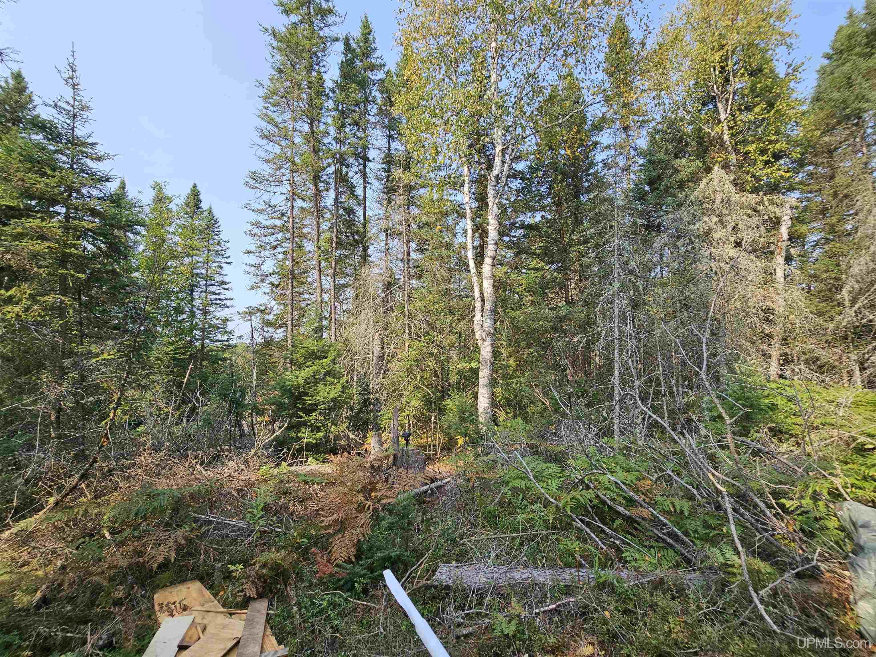 Tbd Willet Lane Ishpeming, MI 49849 - Photo 17 of 25
