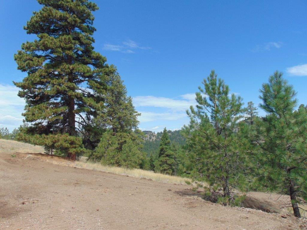 Tbd Shady Spring Lane Cascade, MT 59421 - Photo 66 of 78 Gallery Image 66