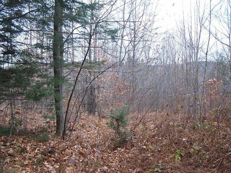 Lot 33 Canton Mountain Road Canton, ME 04221 - Photo 4 of 8 View.