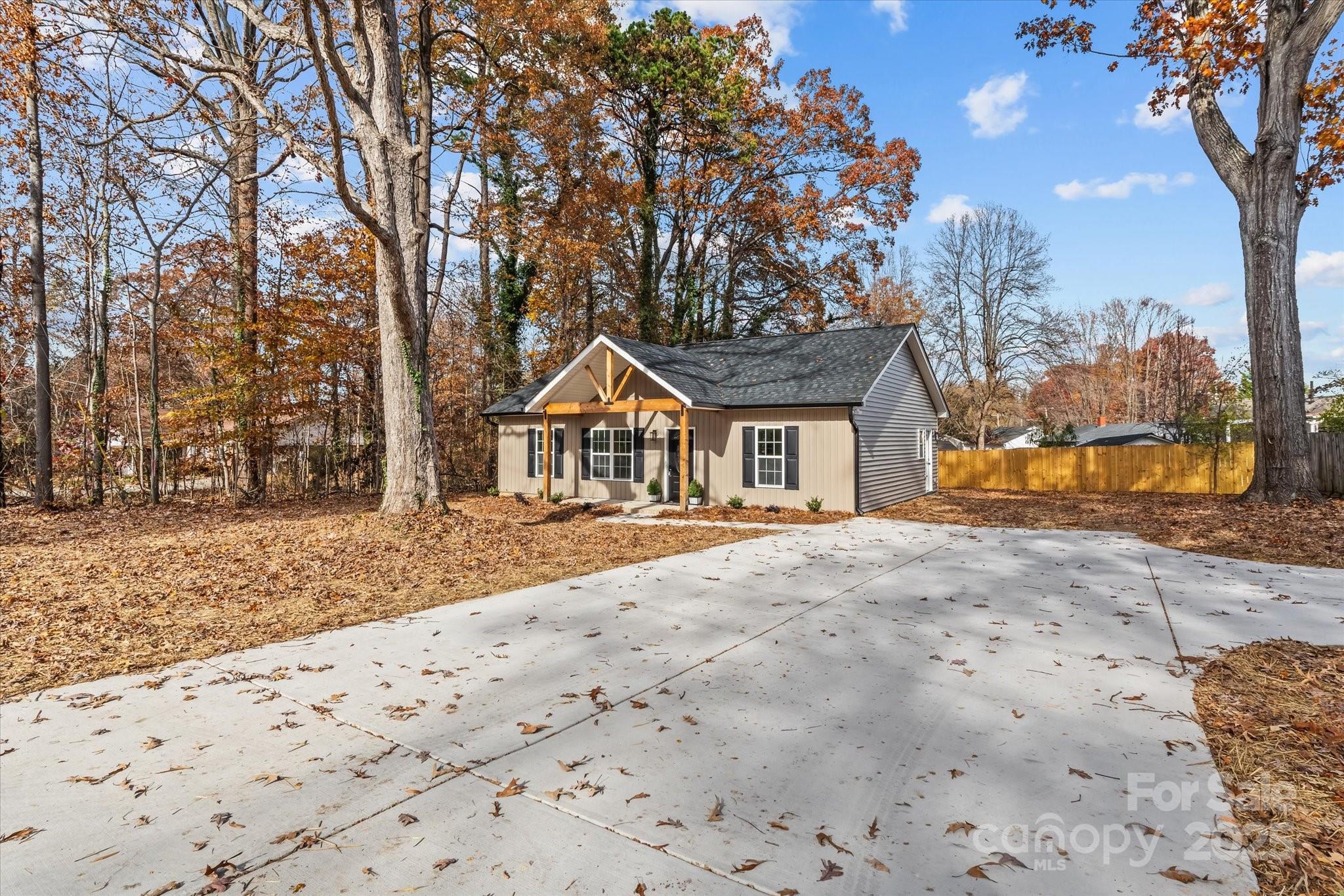 a street view with large trees