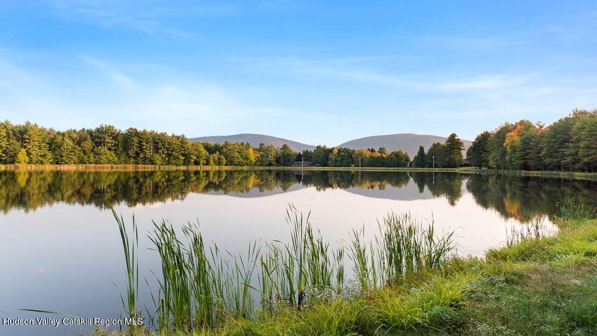 85 Conifer Lake Road West Jewett, NY 12444 - Photo 5 of 50 view of conifer lake