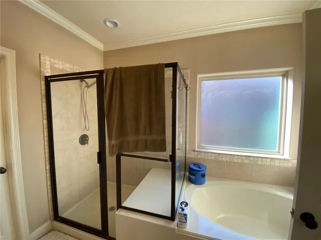 a bathroom with a bathtub and a shower