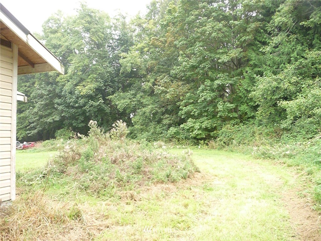 181 Head Gate Road Sequim, WA 98382 - Photo 2 of 18 a view of a yard with a tree