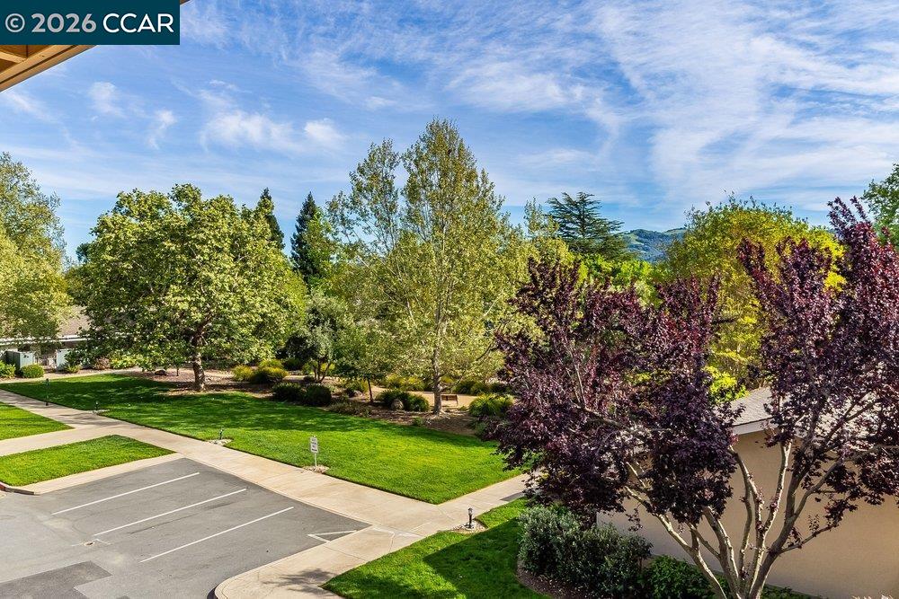 2801 Golden Rain Road, Unit 3 Walnut Creek, CA 94595 - Photo 24 of 29 a view of a park with large trees