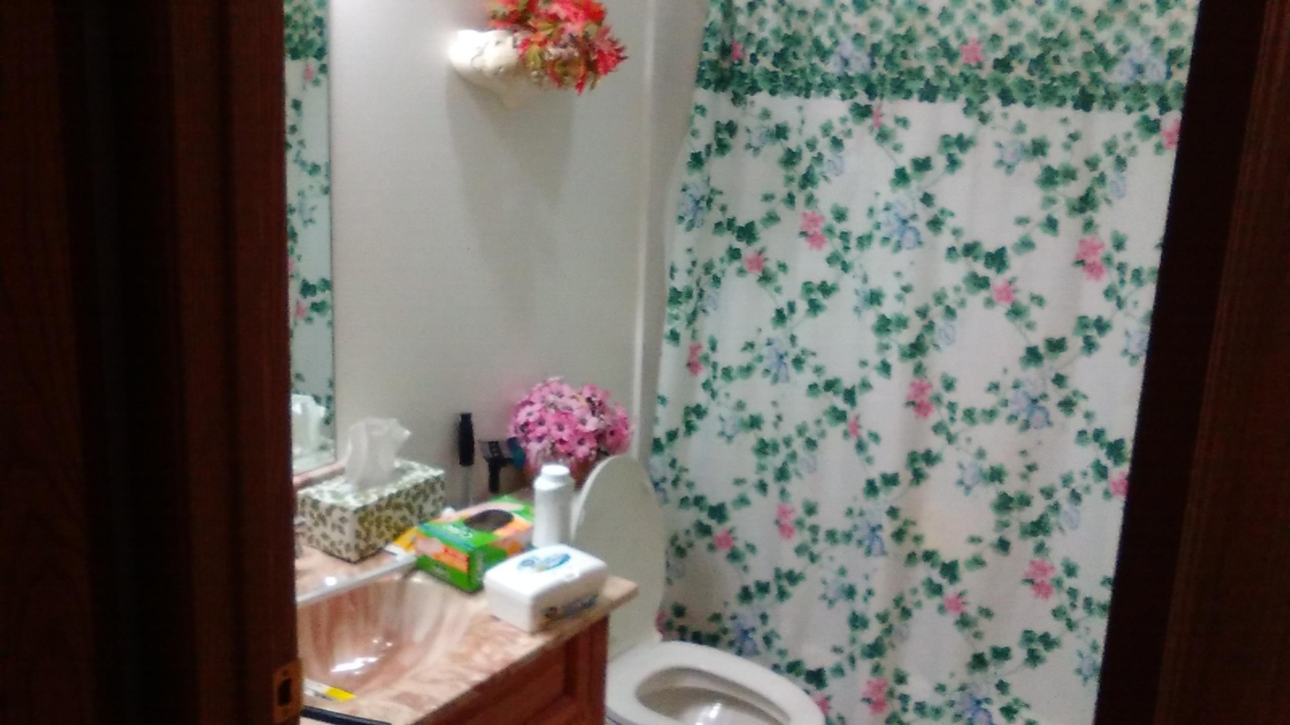 20593 1 Mile Road Morley, MI 49336 - Photo 11 of 17 KIMG0129