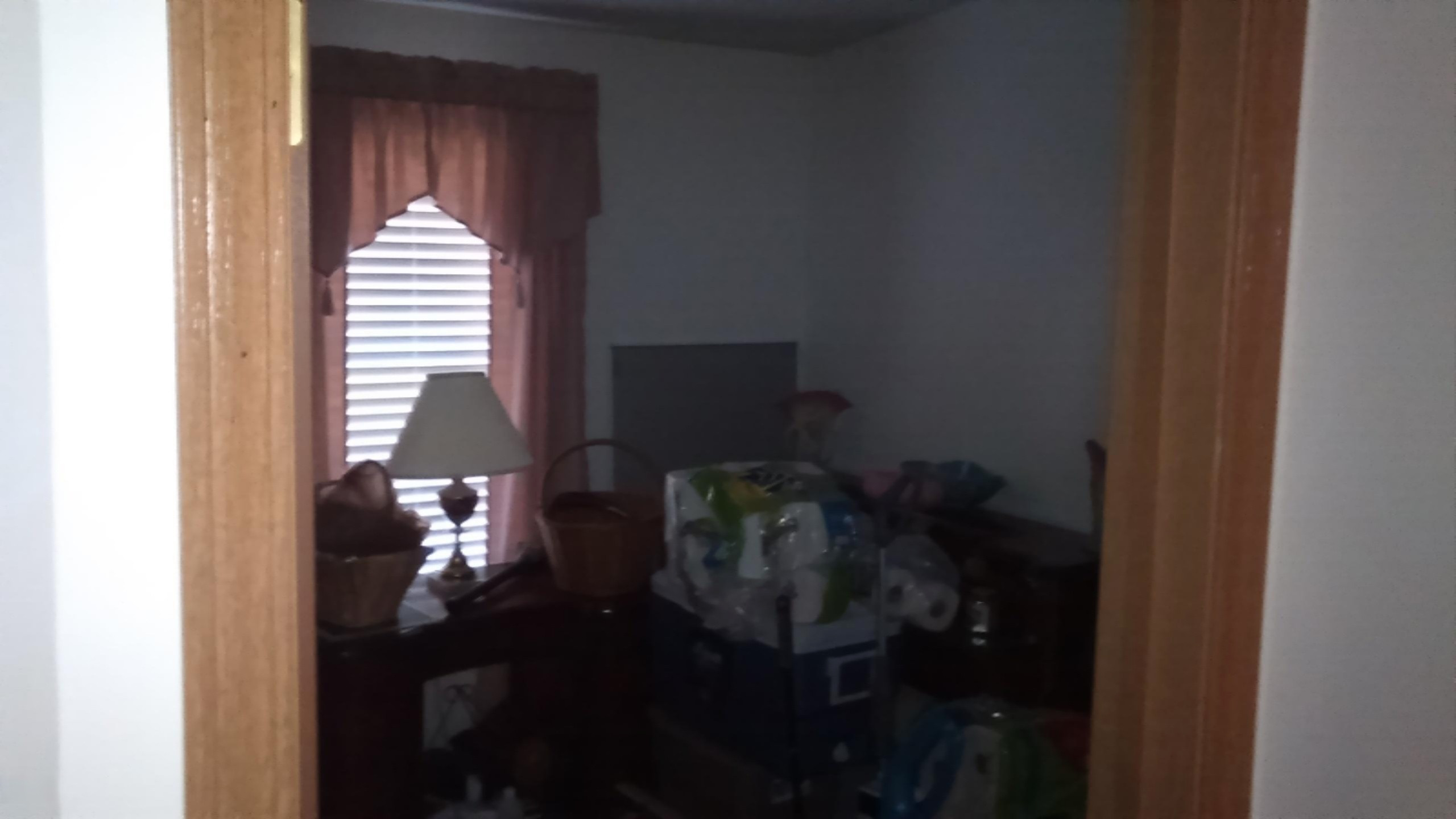 20593 1 Mile Road Morley, MI 49336 - Photo 8 of 17 KIMG0124