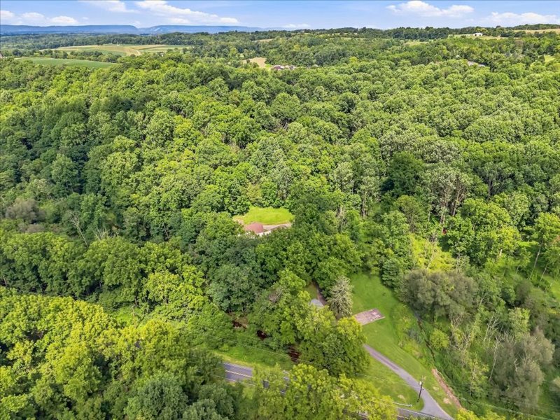 1168 Mt Pleasant Road Bangor, PA 18013 - Photo 14 of 100 Lush green woodlands surround this secluded property, offering ultimate natural privacy.