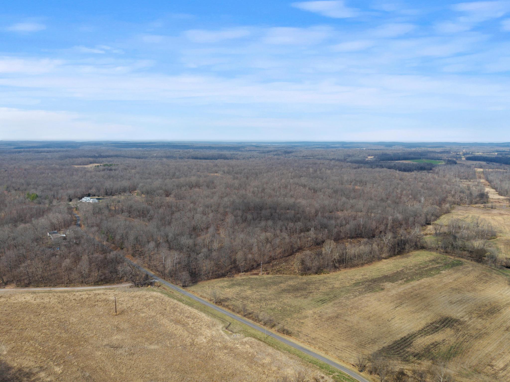 74.19 L Bill Thompson Road Kuttawa, KY 42055 - Photo 4 of 7 DJI_20260304114437_0009_D