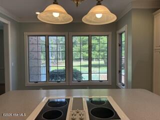 331 Rooty Branch Road Vass, NC 28394 - Photo 10 of 42