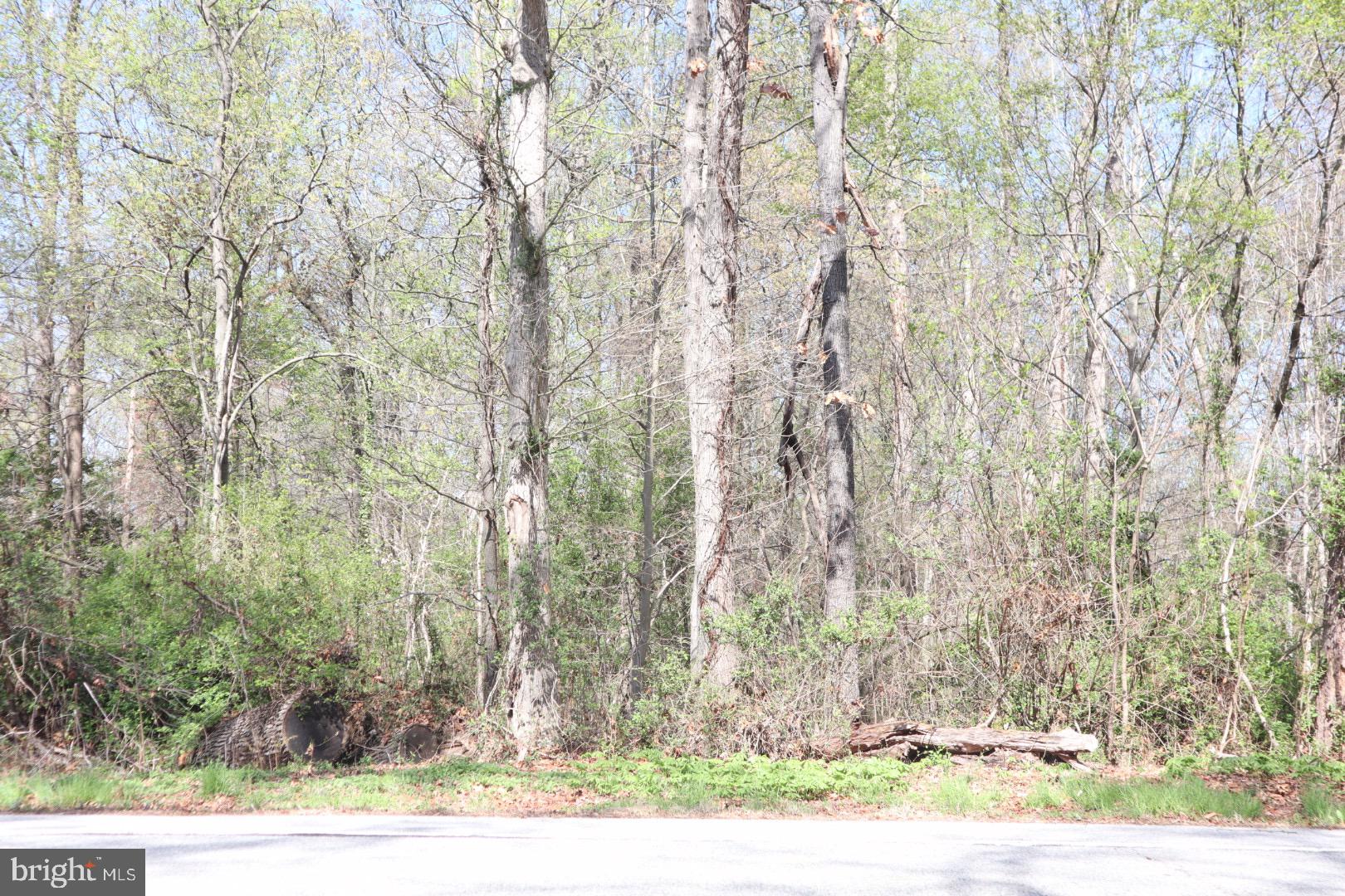 Fairlee Road Chestertown, MD 21620 - Photo 3 of 8 a view of a yard with an outdoor space