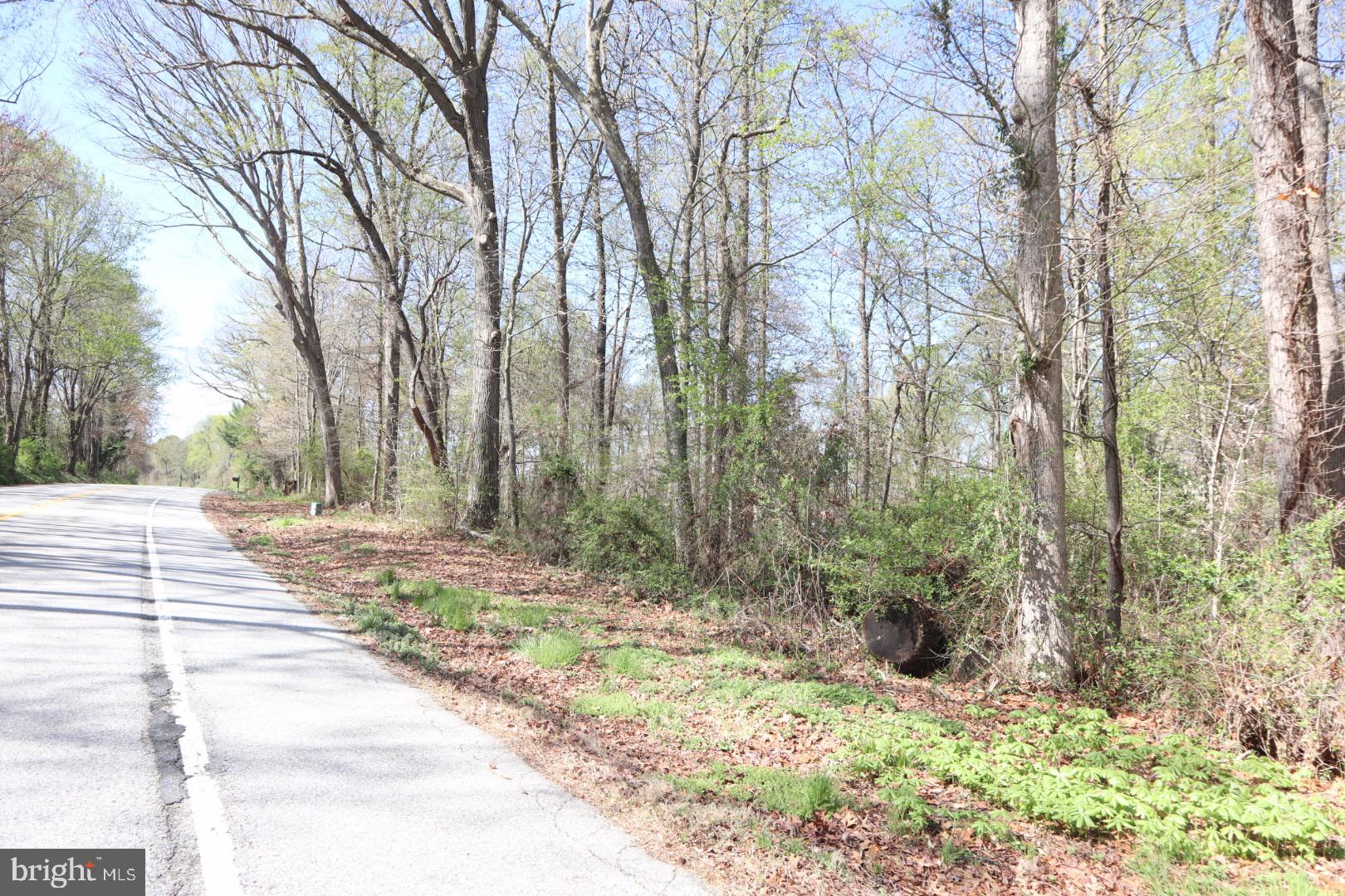 Fairlee Road Chestertown, MD 21620 - Photo 4 of 8