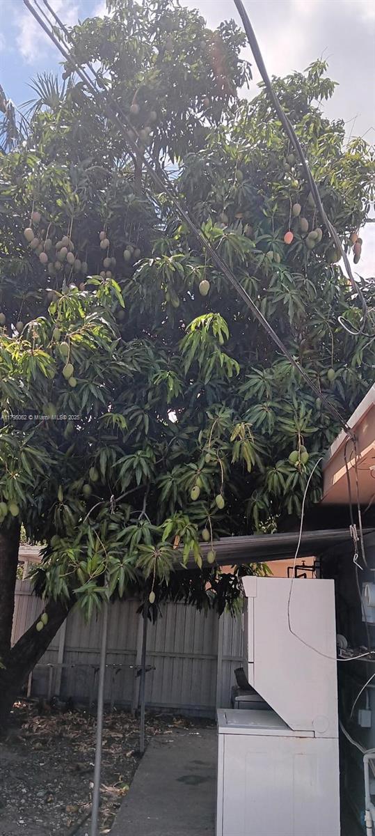 940 East 9th Place Hialeah, FL 33010 - Photo 5 of 5