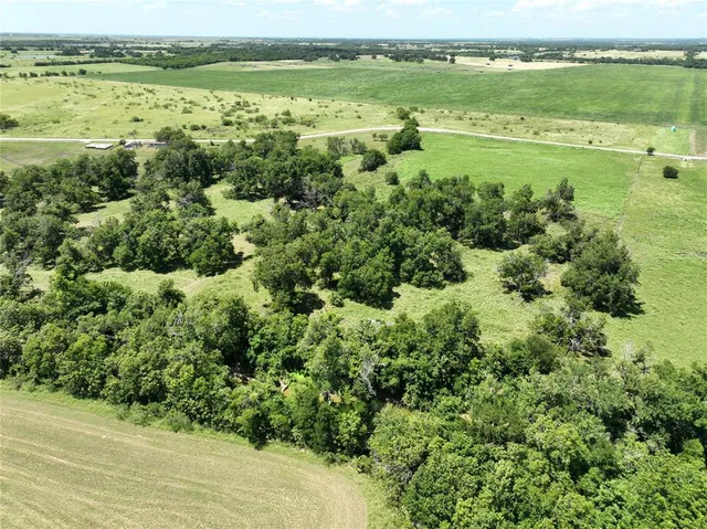 a view of a green field with lots of trees