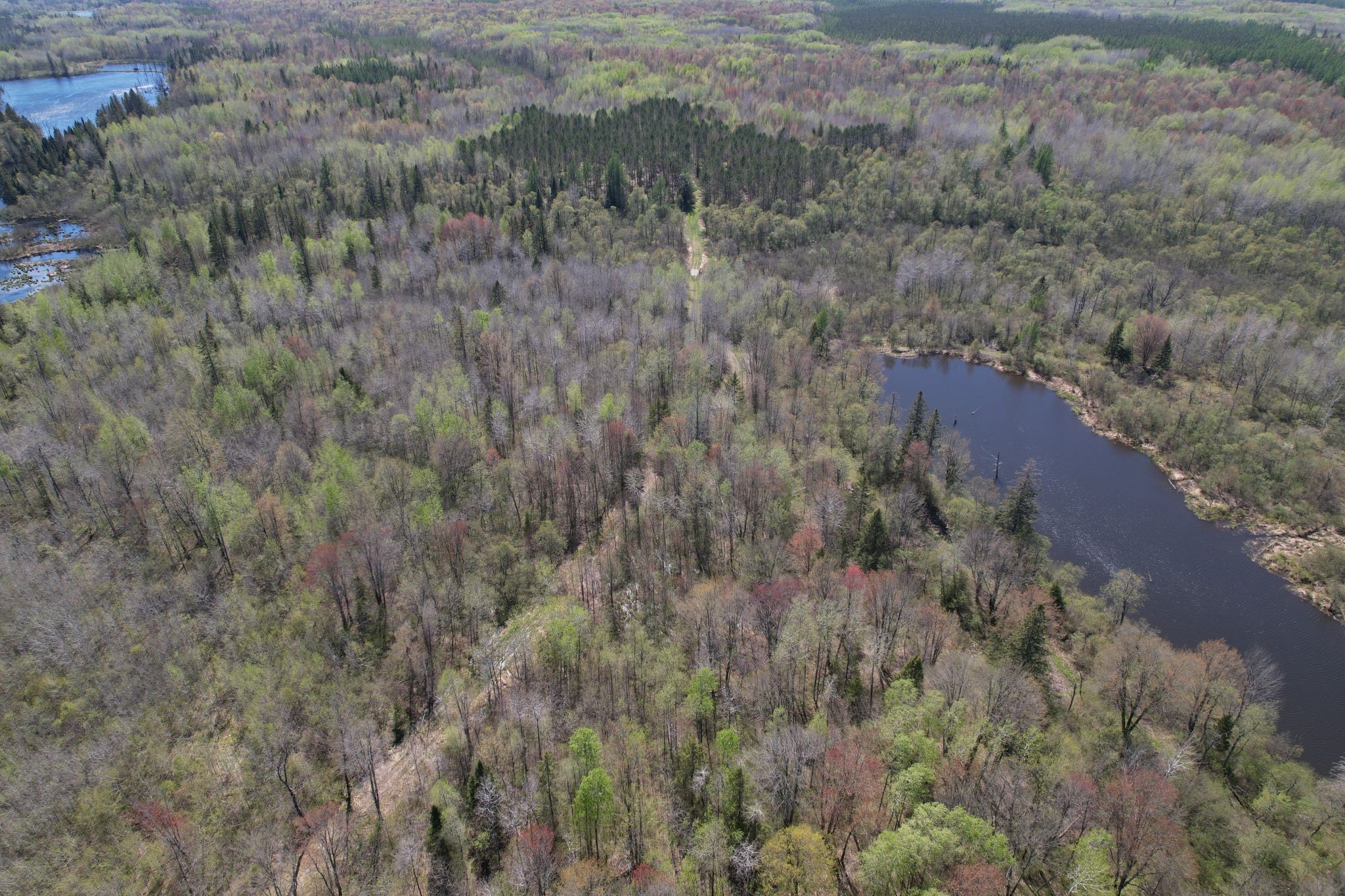 Off Hay Creek Road Prentice, WI 54556 - Photo 16 of 44
