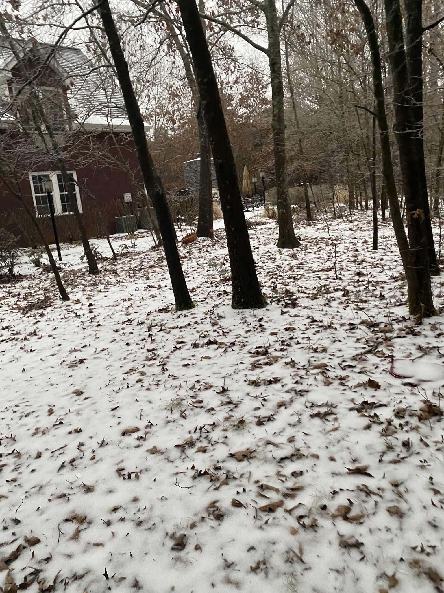 4367 Shores Road Murfreesboro, TN 37128 - Photo 11 of 21