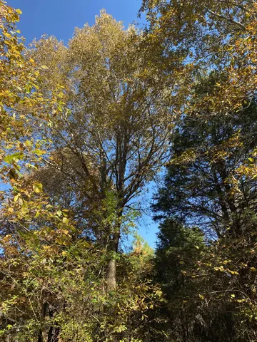 $4,500 | 4367 Shores Road, Murfreesboro, TN 37128