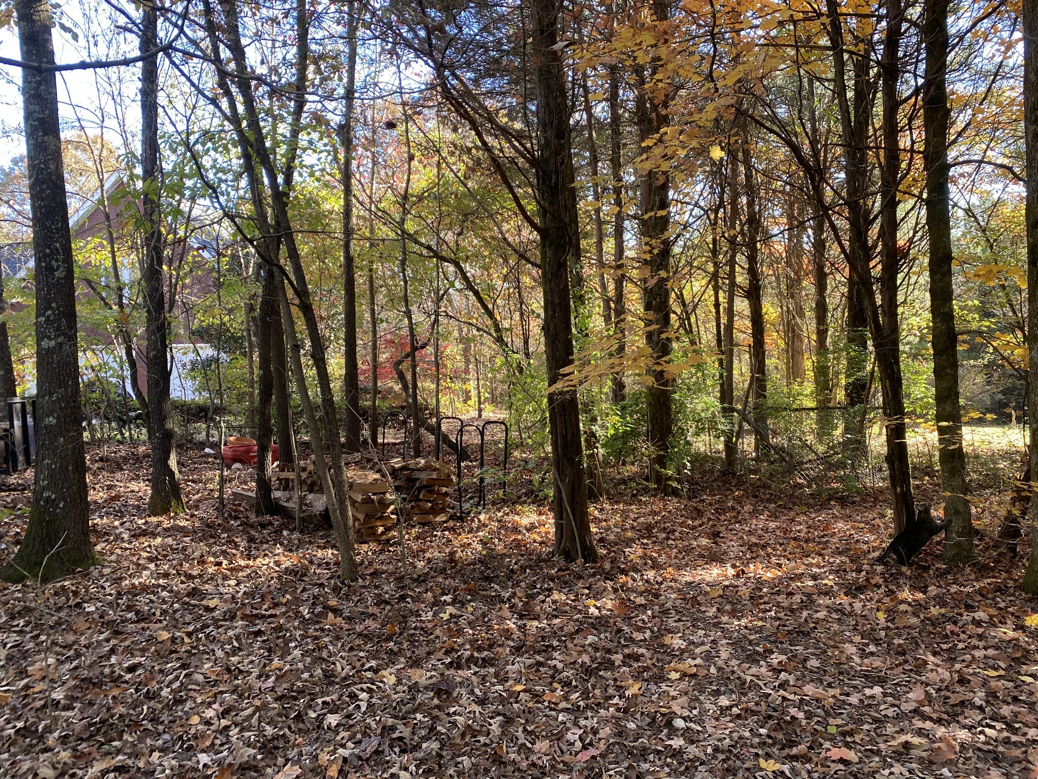 4367 Shores Road Murfreesboro, TN 37128 - Photo 15 of 21