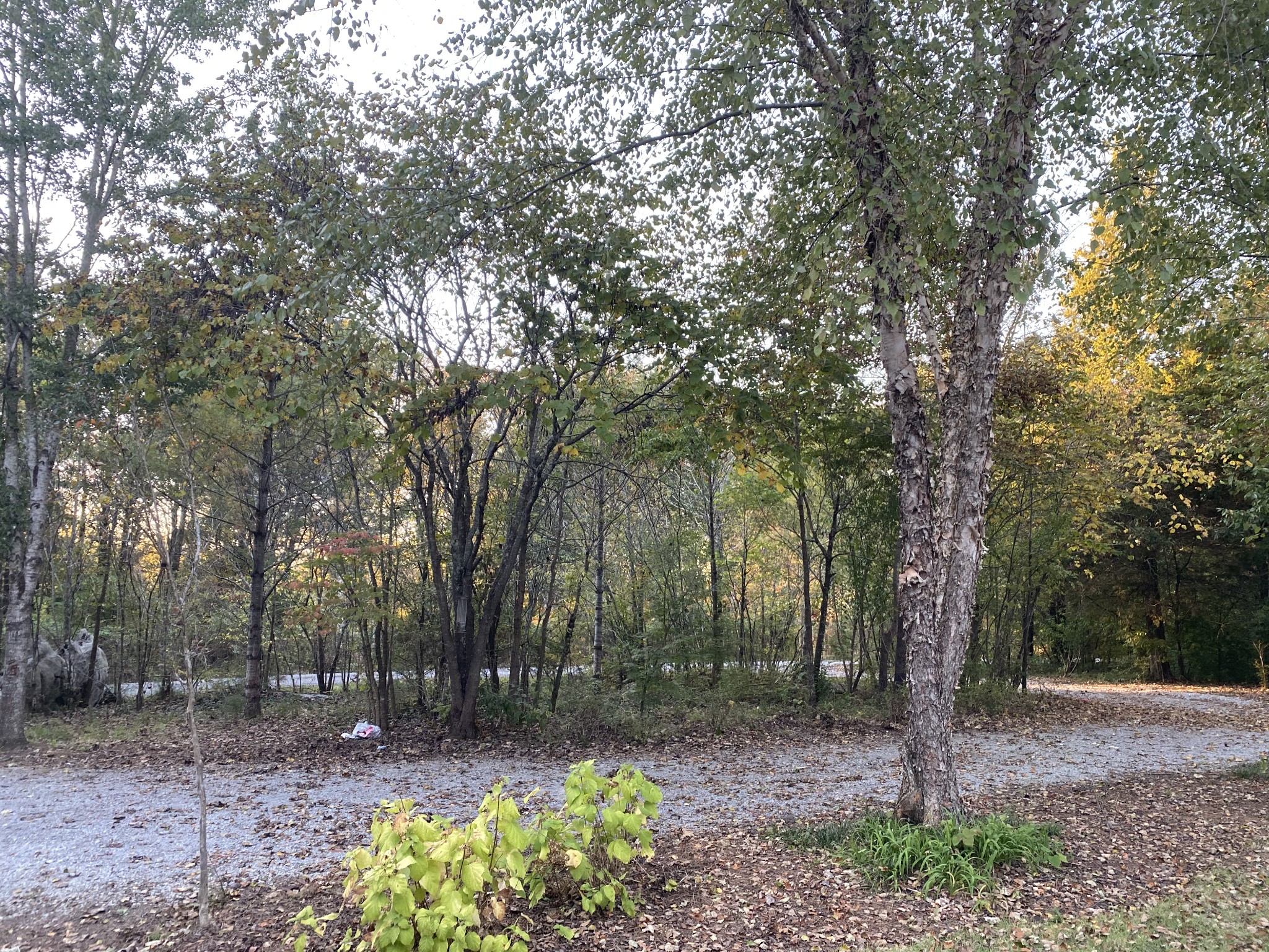 4367 Shores Road Murfreesboro, TN 37128 - Photo 18 of 21