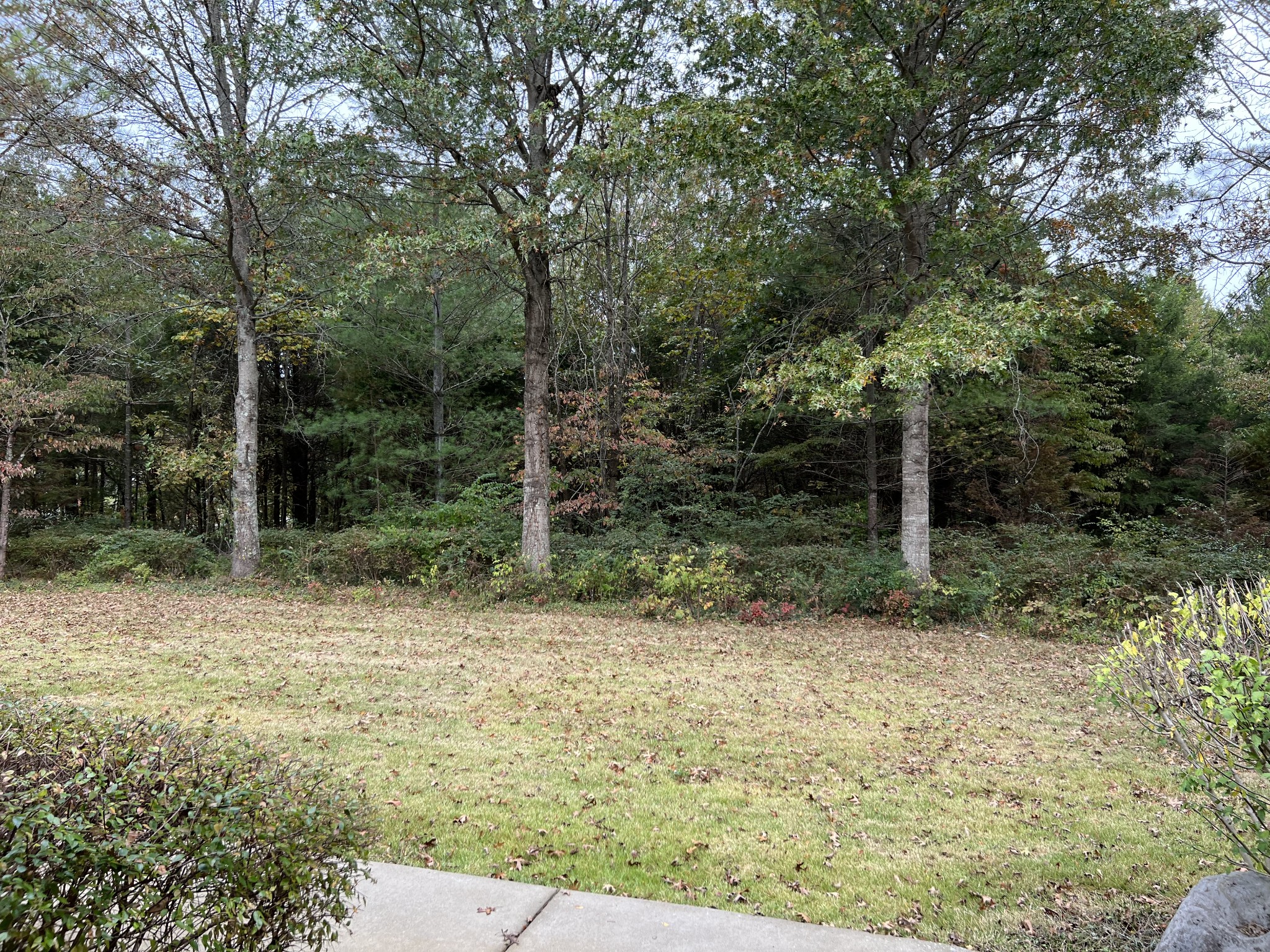 4367 Shores Road Murfreesboro, TN 37128 - Photo 8 of 21