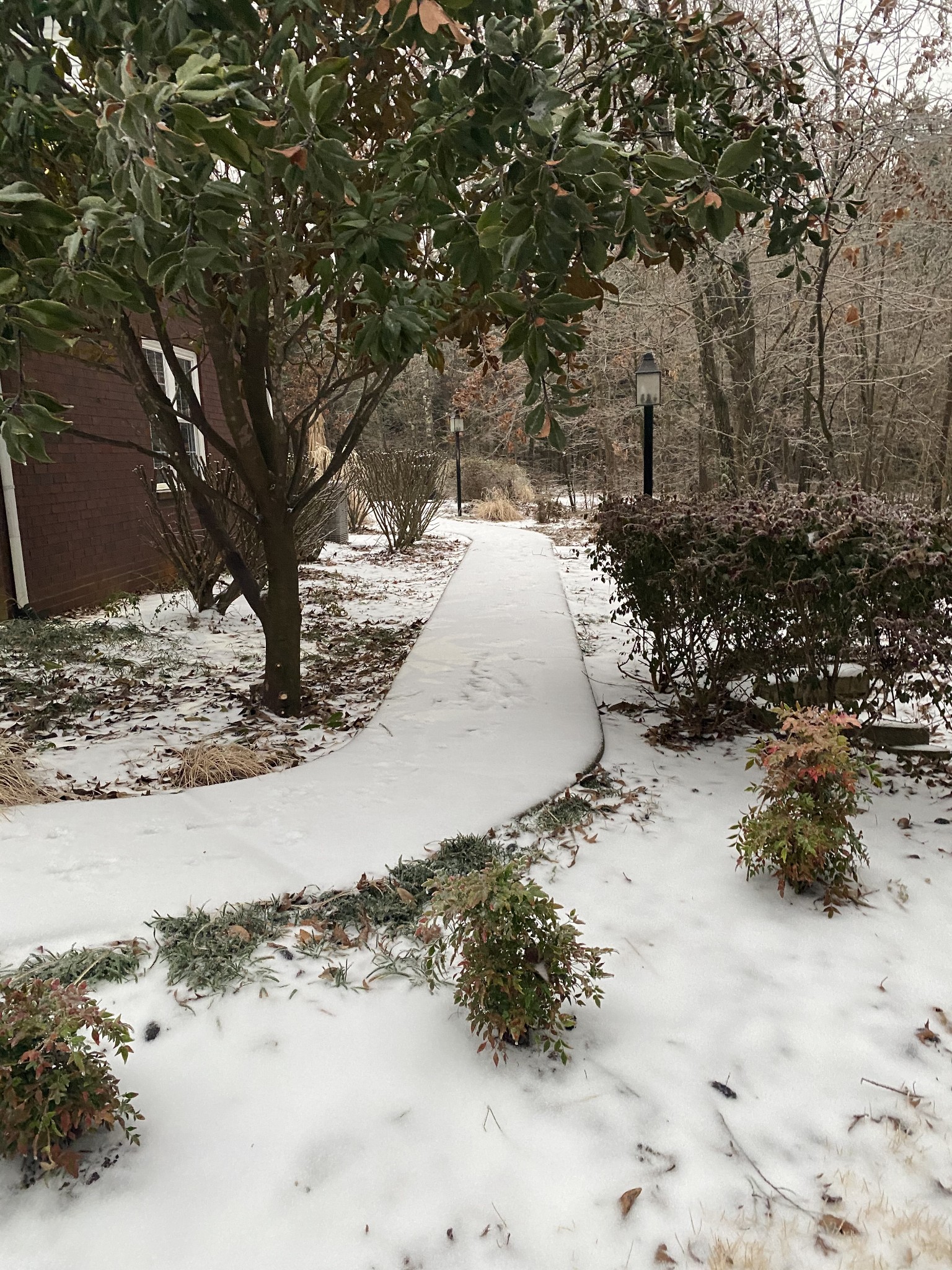 4367 Shores Road Murfreesboro, TN 37128 - Photo 10 of 21