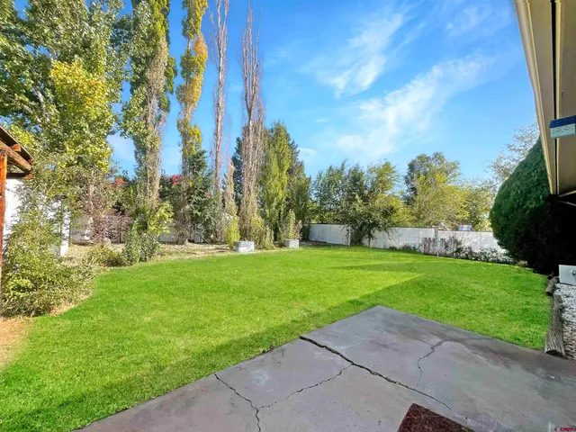 a view of a park with large trees