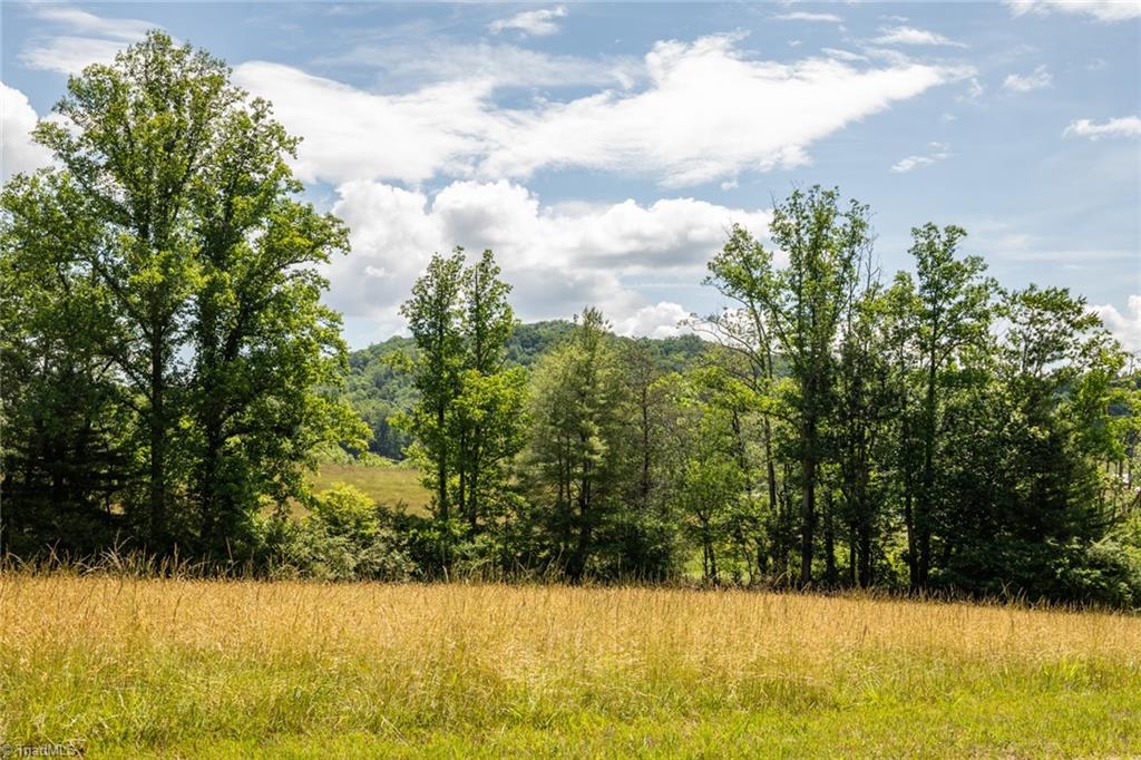 Tbd Shingle Gap Road Purlear, NC 28665 - Photo 2 of 20