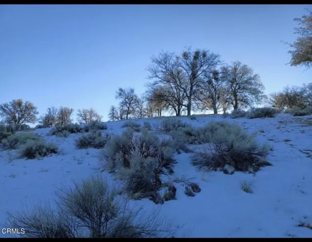 17900 Zurich Court Tehachapi, CA 93561 - Photo 3 of 3 a view of a dry yard