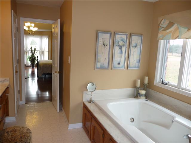 1250 Walter Head Road Adams, TN 37010 - Photo 16 of 20 a bathroom with a tub a sink and a large mirror