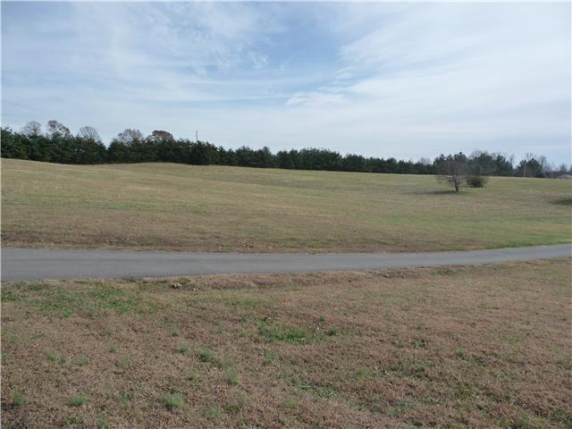 1250 Walter Head Road Adams, TN 37010 - Photo 17 of 20 a view of a lake view