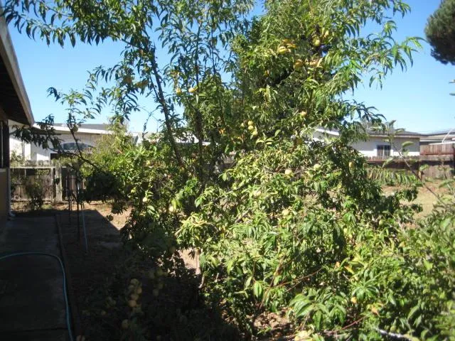 a street view covered with wooden fence