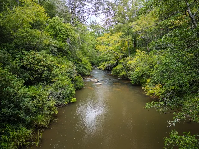 a view of a large yard with lots of bushes