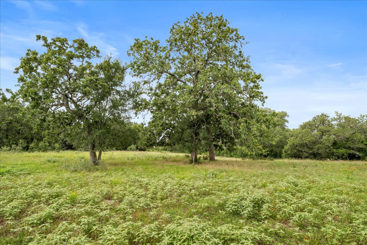 8413 Mach Road La Grange, TX 78945 - Photo 8 of 40