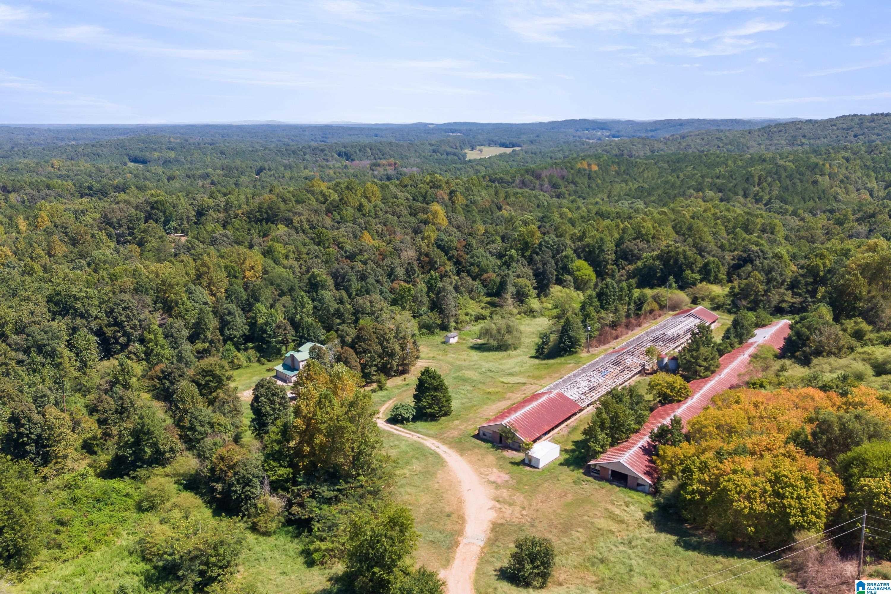 235 Graham Road Pell City, AL 35125 - Photo 37 of 47 Gallery Image 37