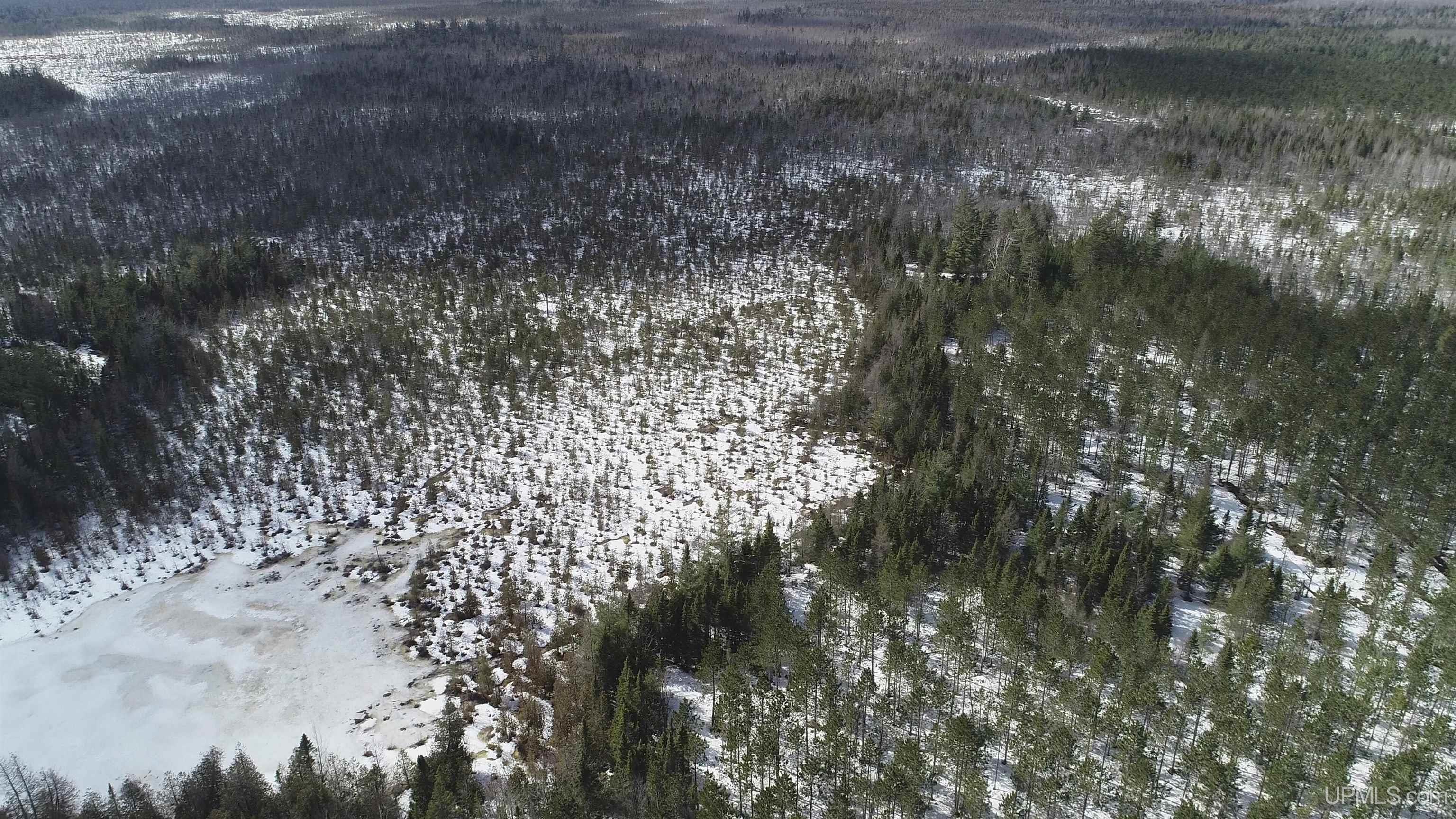 20-acres Off Flodin Road Manistique, MI 49854 - Photo 24 of 29