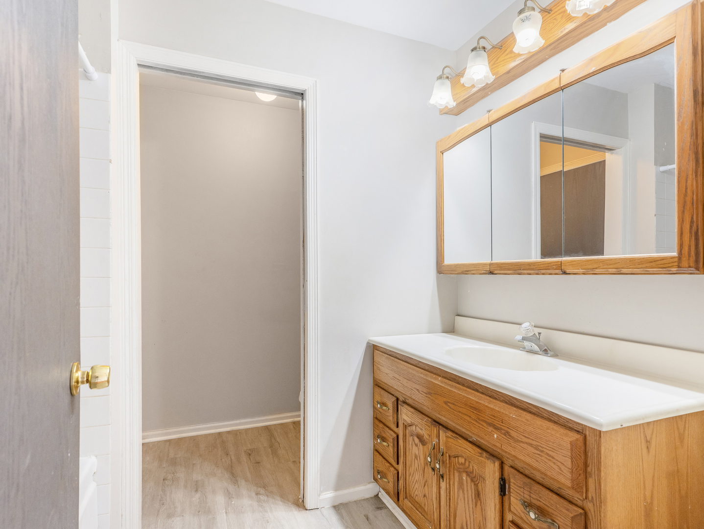 2433 Caton Crest Court Crest Hill, IL 60403 - Photo 12 of 18 a bathroom with a sink a vanity and a mirror