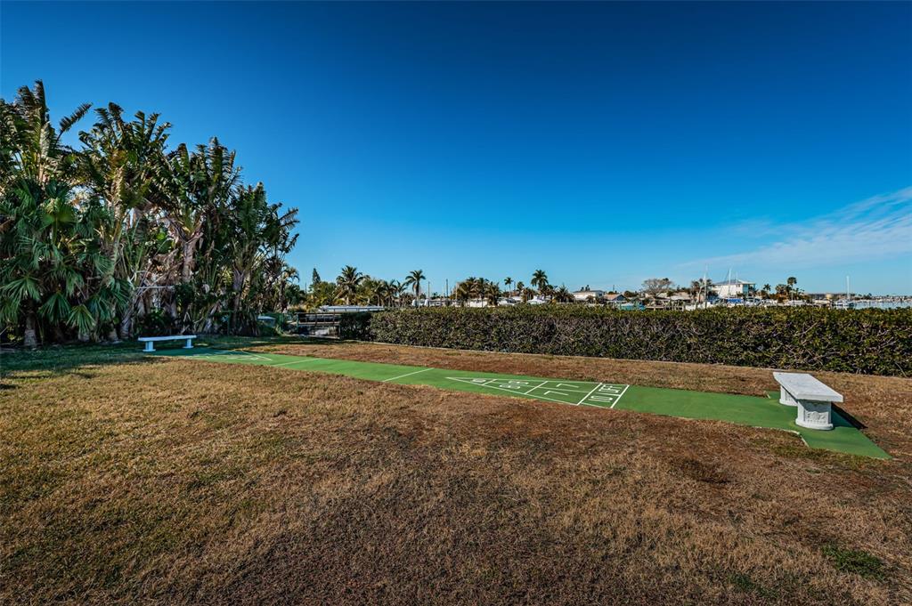 713 Pruitt Drive Madeira Beach, FL 33708 - Photo 59 of 62 a view of a field with a tree in the background