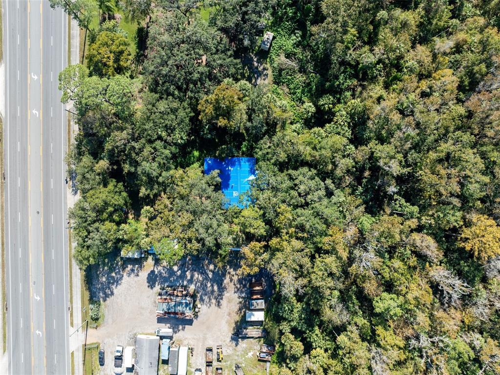420 Monroe Road Sanford, FL 32771 - Photo 11 of 28 a view of a forest