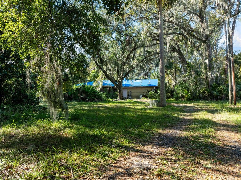 420 Monroe Road Sanford, FL 32771 - Photo 8 of 28 a view of a park with large trees