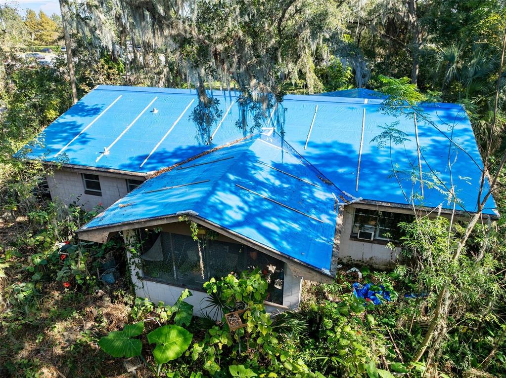 420 Monroe Road Sanford, FL 32771 - Photo 10 of 28 a view of a yard with plants