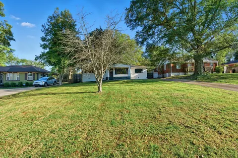 a view of a big yard with a trees