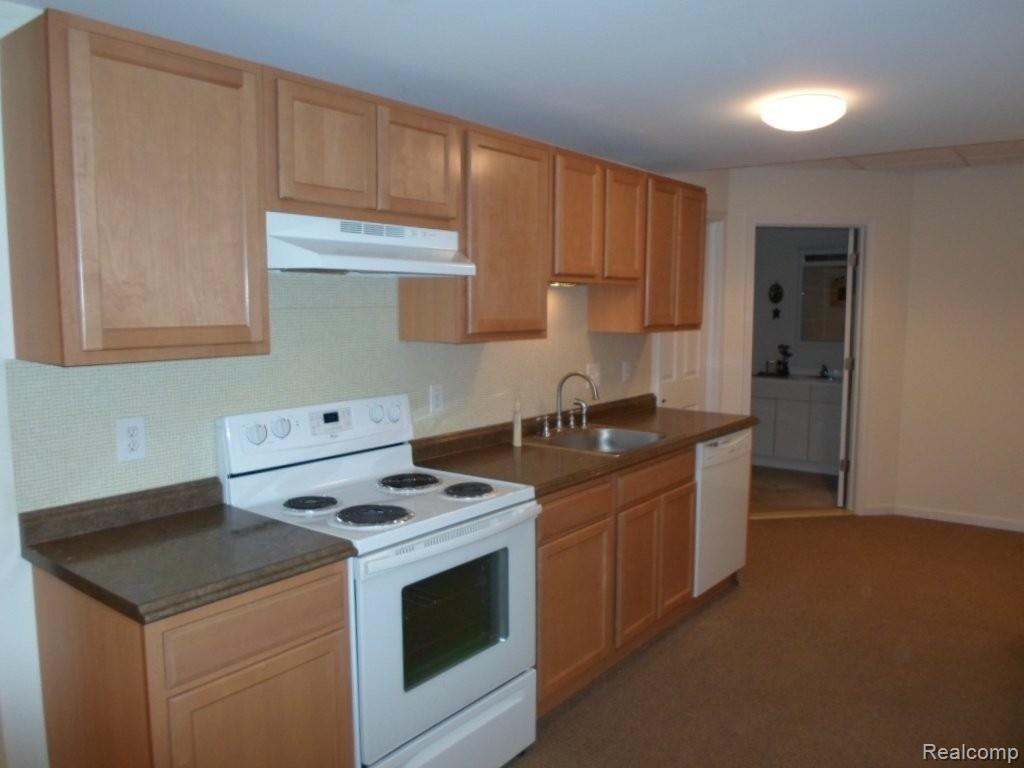 8147 Bergin Road Howell, MI 48843 - Photo 5 of 18 Lower Level Kitchen.jpg
