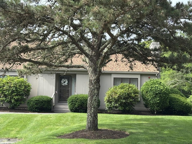a front view of house with yard and green space