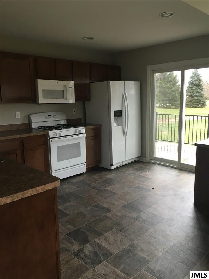 9780 Clinton Road Manchester, MI 48158 - Photo 4 of 13 Photo 4